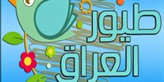 تردد قناة طيور العراق Toyor Aliraq على النايل سات 2024 بعد التغيير
