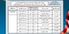 جدول امتحانات الصف الثالث الإعدادي محافظة القاهرة 2024 الترم الاول